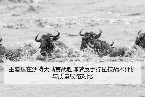 wang-man-yu-zai-sha-te-da-man-guan-zhan-sheng-chen-meng-fan-shou-ning-la-ji-zhan-shu-ping-xi-yu-zhi-liang-xian-lu-dui-bi-2-762.jpg